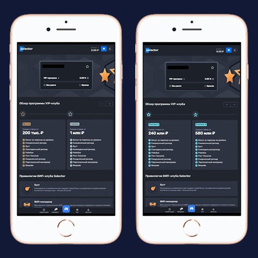 Система лояльности