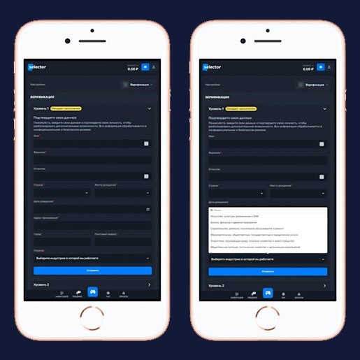 Верификация